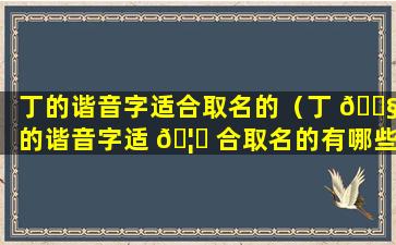 丁的谐音字适合取名的（丁 🐧 的谐音字适 🦍 合取名的有哪些）